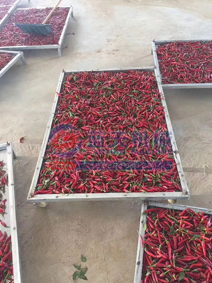 大型食品烘干機試機現(xiàn)場